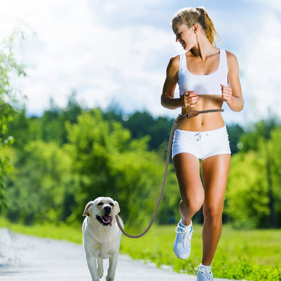 Mile High Life hands-free rope dog leash with leather connection, main product photo
