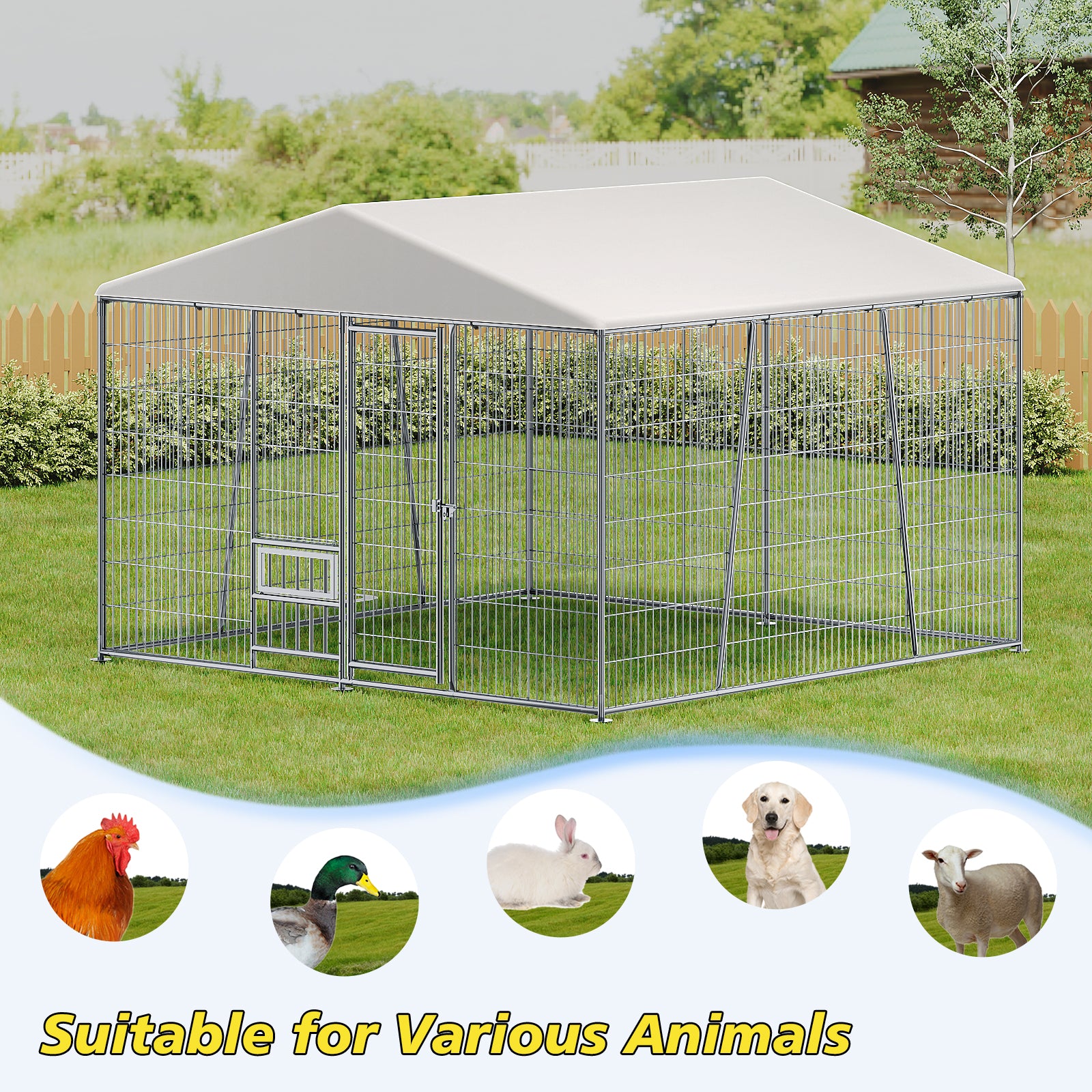 Image for product