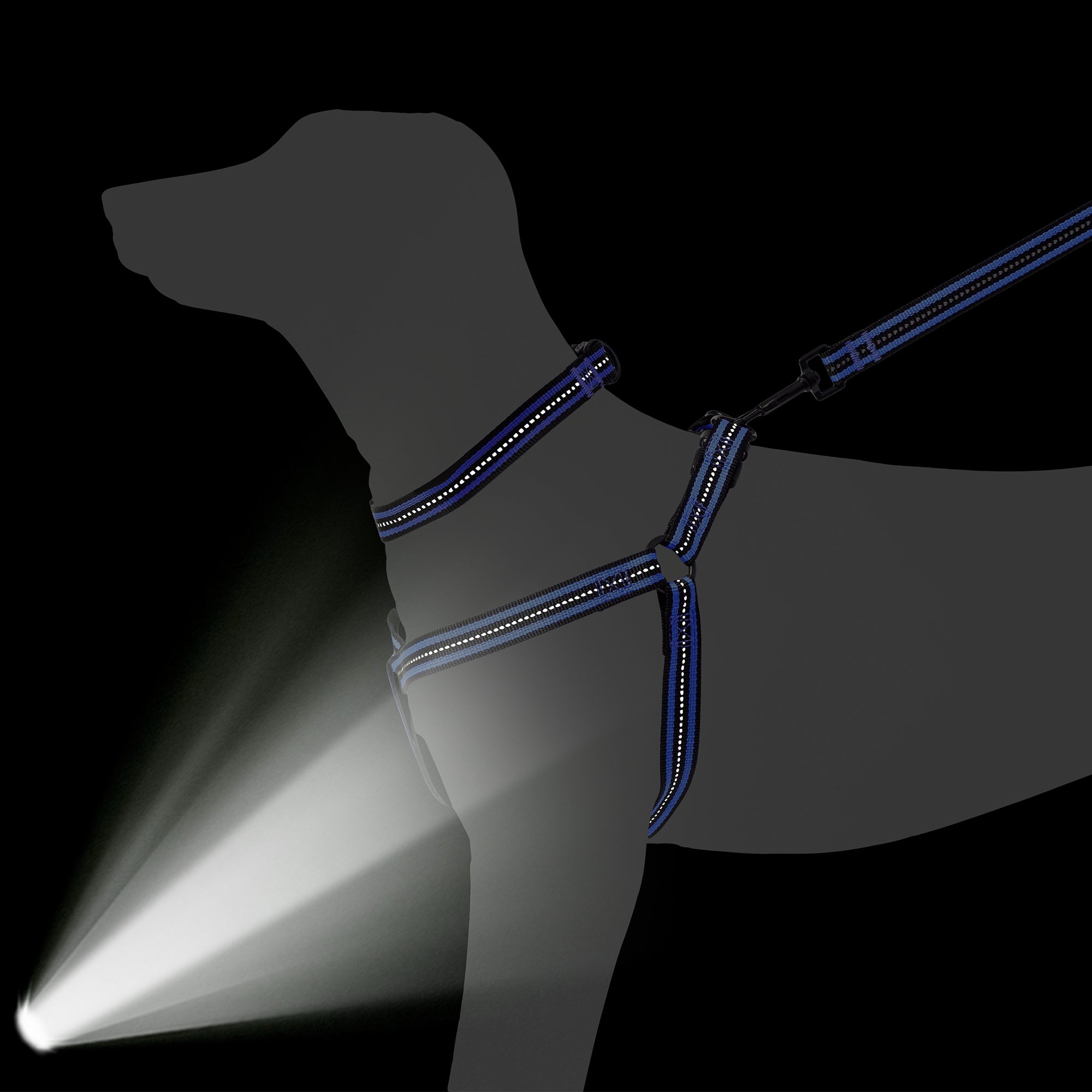 Mile High Life reflective dog collar leash and harness combo set — view 3
