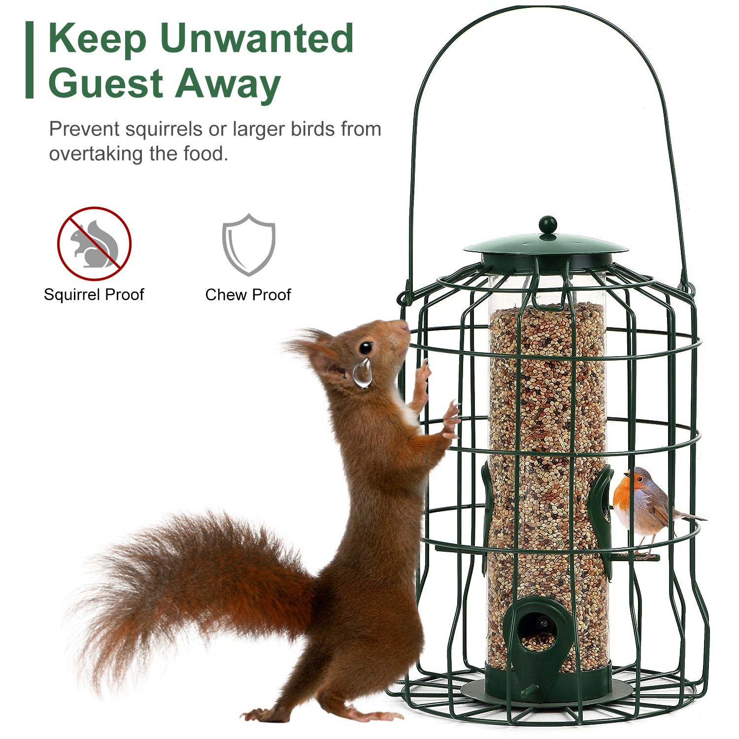 Image for product