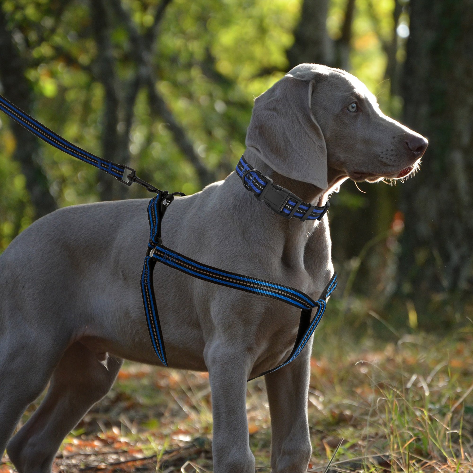 Mile High Life reflective dog collar leash and harness combo set — view 2