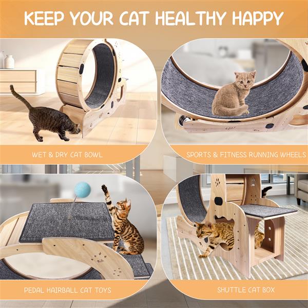 Mile High Life 6-in-1 indoor cat exercise wheel and sports device — view 3
