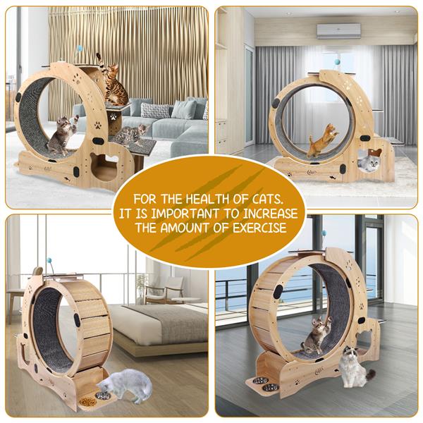Mile High Life 6-in-1 indoor cat exercise wheel and sports device — view 4