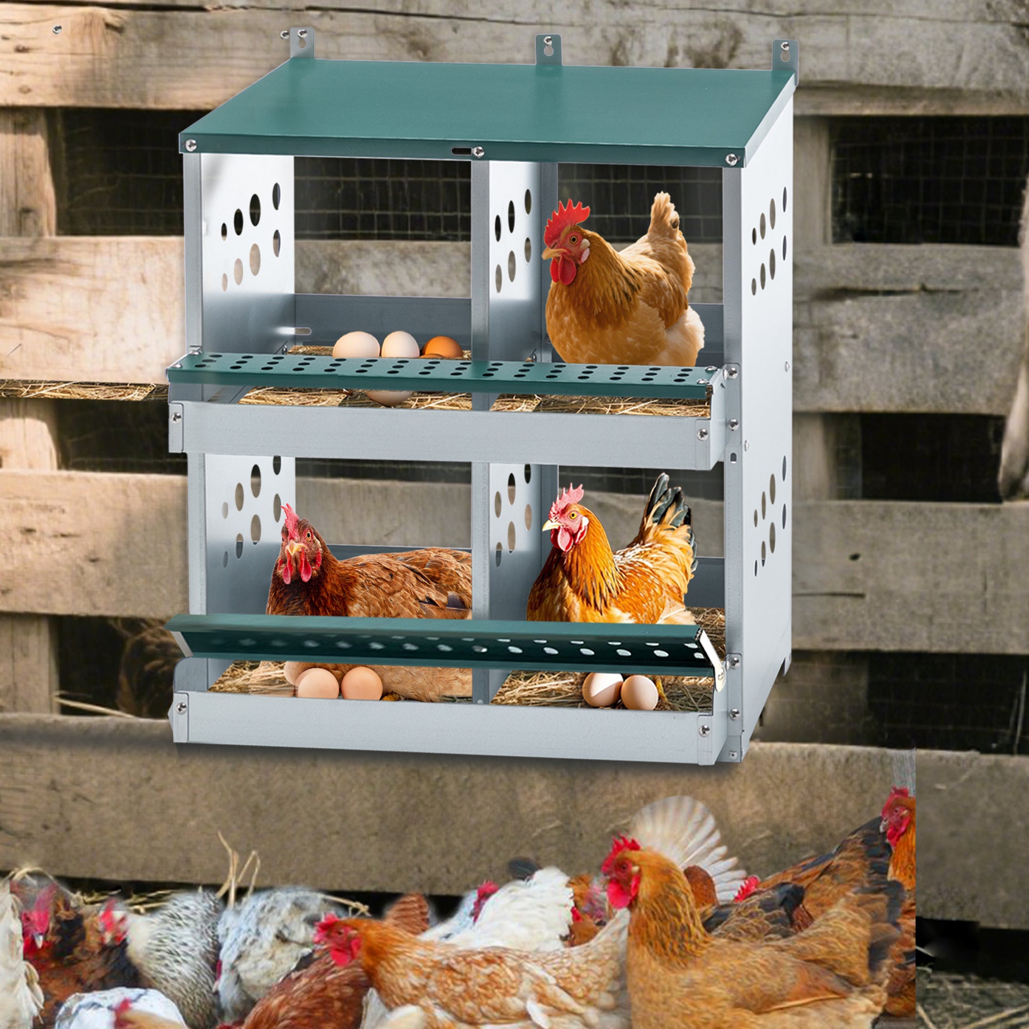 Image for product