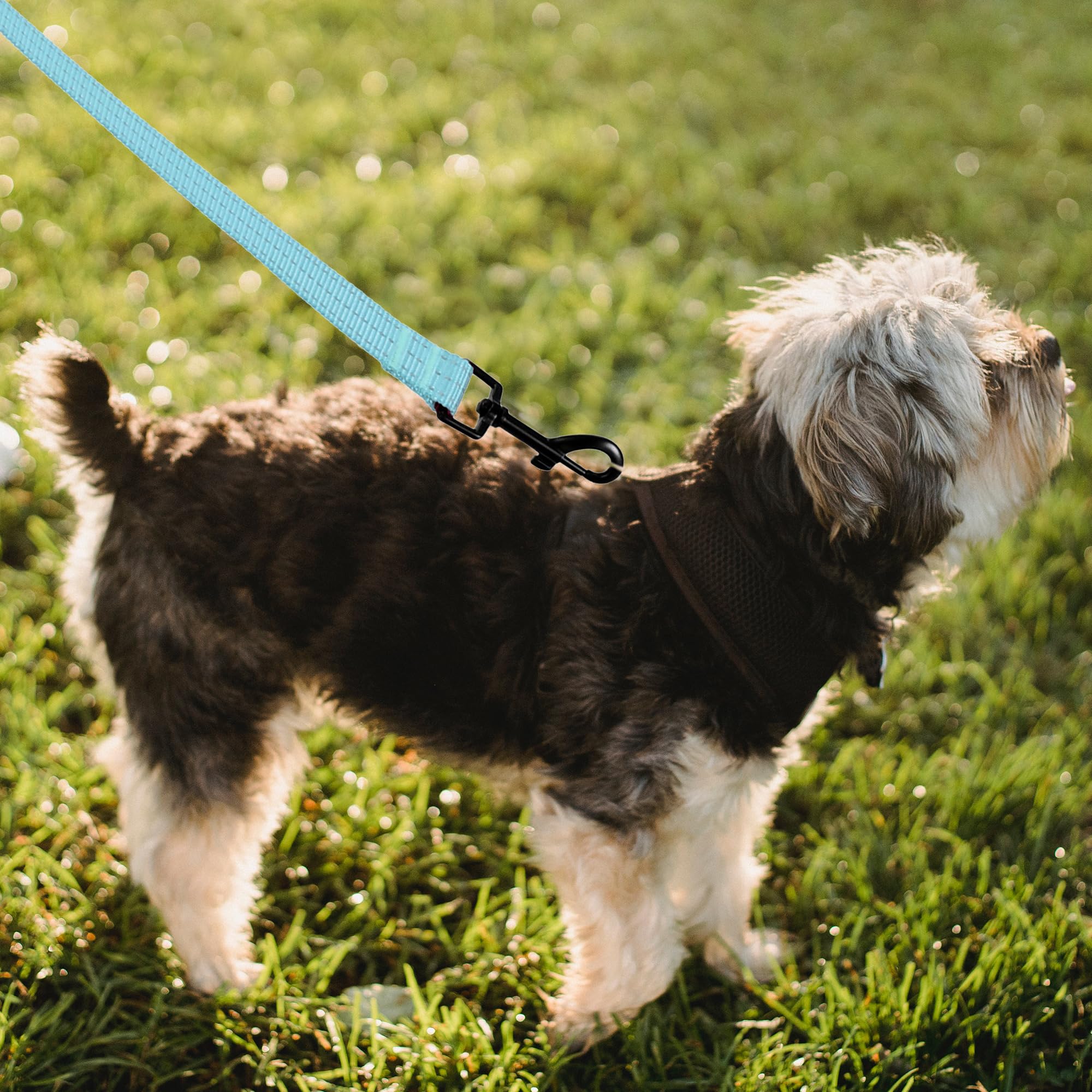 Mile High Life heavy-duty chevron weave dog leash with leather connection — view 59