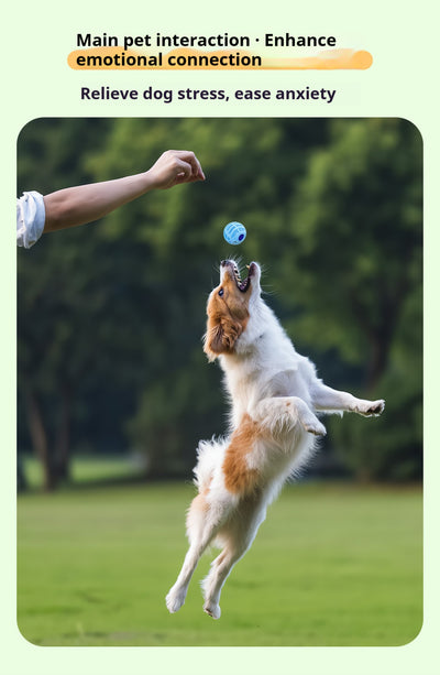 Mile High Life interactive silicone squeaky fetch ball for dogs — view 8