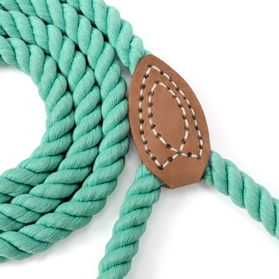 Mile High Life short braided cotton rope dog leash with leather tip — view 17
