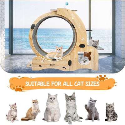 Mile High Life 6-in-1 indoor cat exercise wheel and sports device — view 5