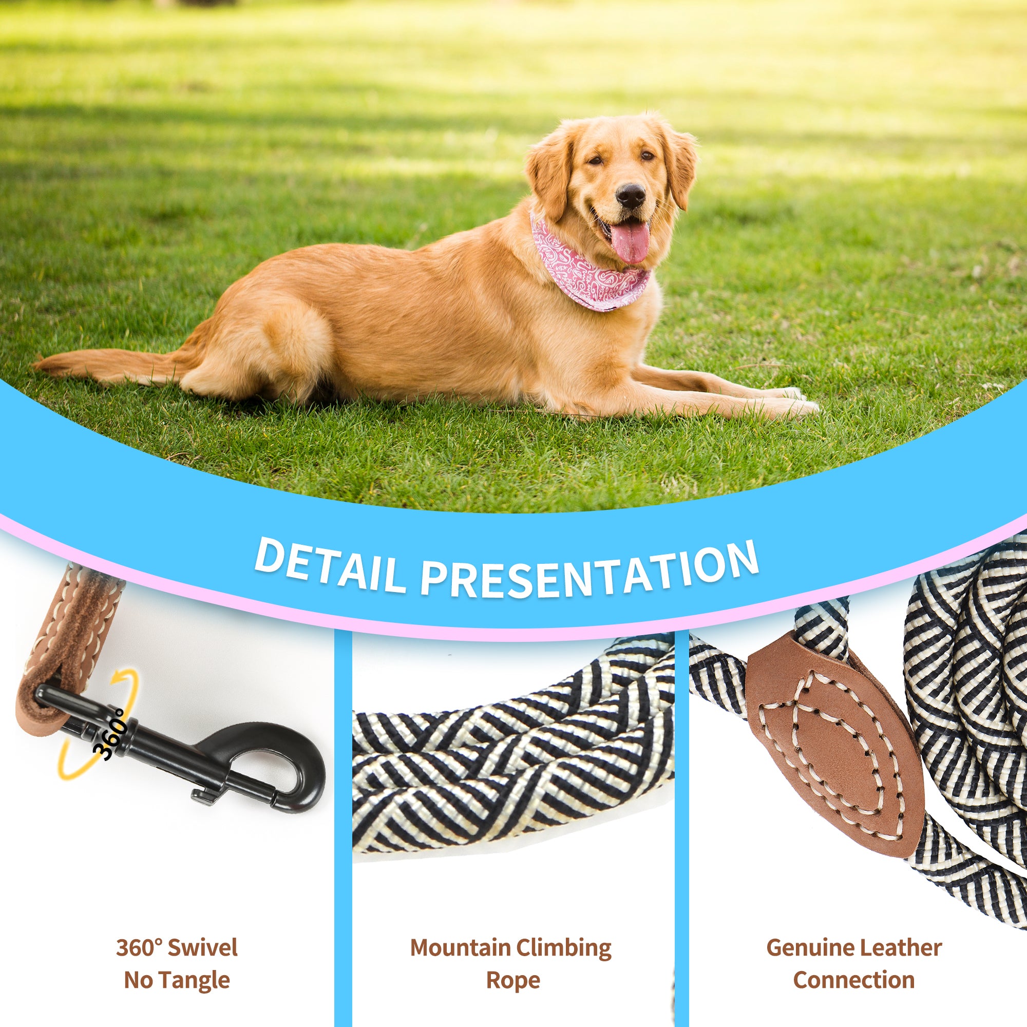 Mile High Life mountain climbing rope dog leash with leather connection — view 5
