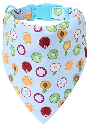 Mile High Life floral dog collar with matching bandana set, girl dog collection — view 22
