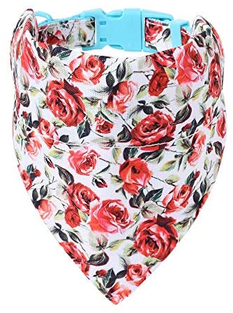 Mile High Life floral dog collar with matching bandana set, girl dog collection — view 27