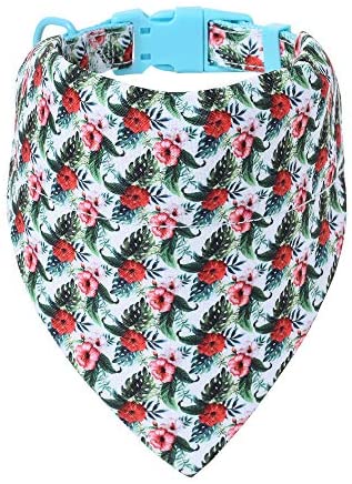 Mile High Life floral dog collar with matching bandana set, girl dog collection — view 26