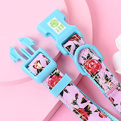 Mile High Life floral dog collar with matching bandana set, girl dog collection — view 6