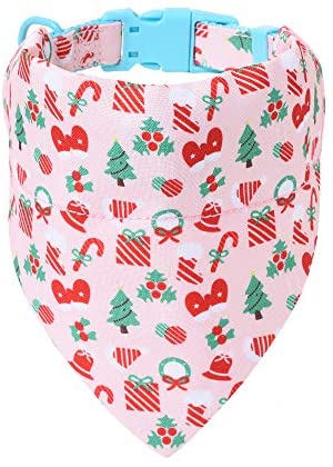 Mile High Life floral dog collar with matching bandana set, girl dog collection — view 15
