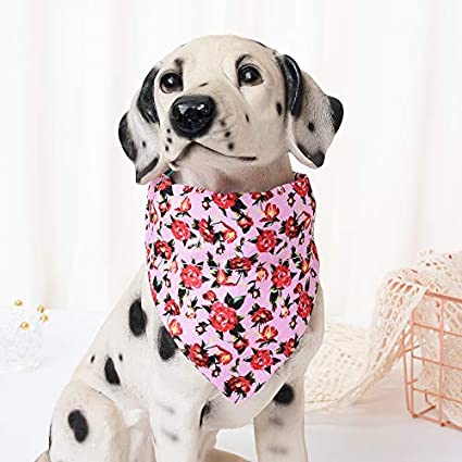 Mile High Life floral dog collar with matching bandana set, girl dog collection — view 2