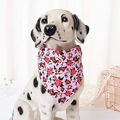 Mile High Life floral dog collar with matching bandana set, girl dog collection — view 2