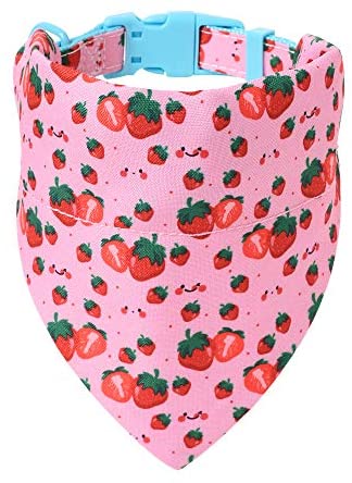 Mile High Life floral dog collar with matching bandana set, girl dog collection — view 34