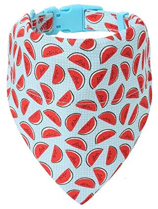 Mile High Life floral dog collar with matching bandana set, girl dog collection — view 20