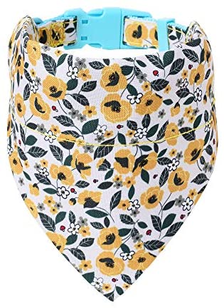 Mile High Life floral dog collar with matching bandana set, girl dog collection — view 19