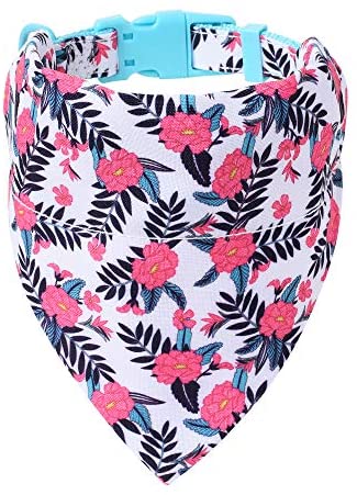 Mile High Life floral dog collar with matching bandana set, girl dog collection — view 32