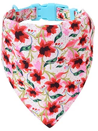 Mile High Life floral dog collar with matching bandana set, girl dog collection — view 39
