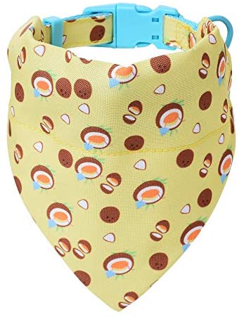 Mile High Life floral dog collar with matching bandana set, girl dog collection — view 12
