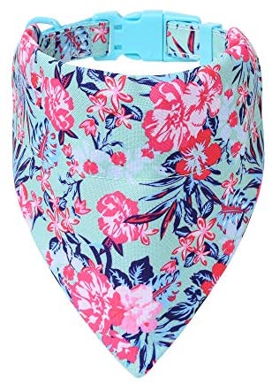Mile High Life floral dog collar with matching bandana set, girl dog collection — view 43