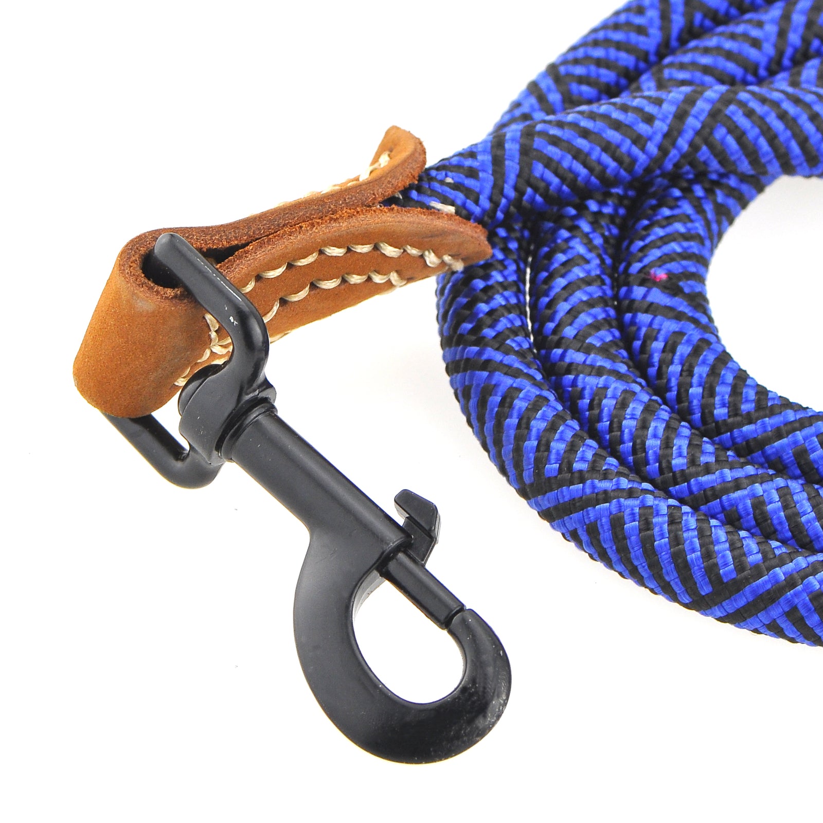 Labrador Retriever with Our Rope Leash