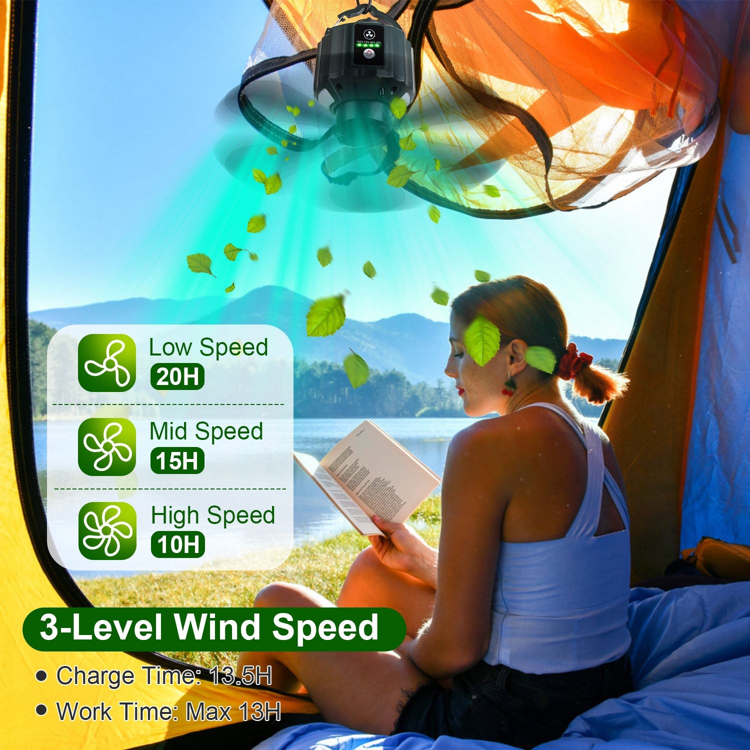 Image for product