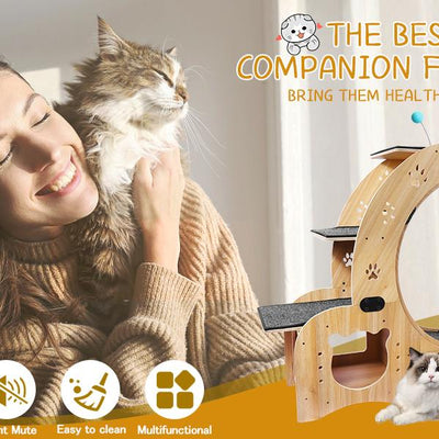 Mile High Life 6-in-1 indoor cat exercise wheel and sports device — view 9