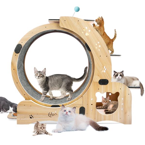 Mile High Life 6-in-1 indoor cat exercise wheel and sports device — view 6
