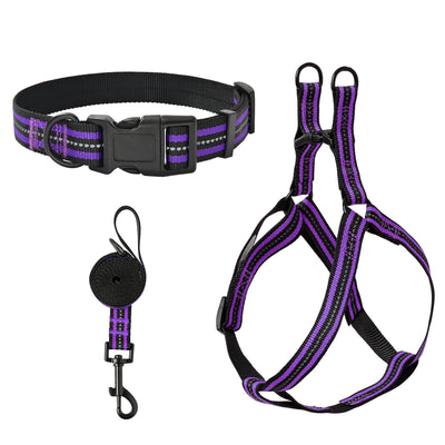 Mile High Life Night Reflective Double Adjustable Band Nylon Small Puppy Pet Dog Combo Collar Leash and Harness Set