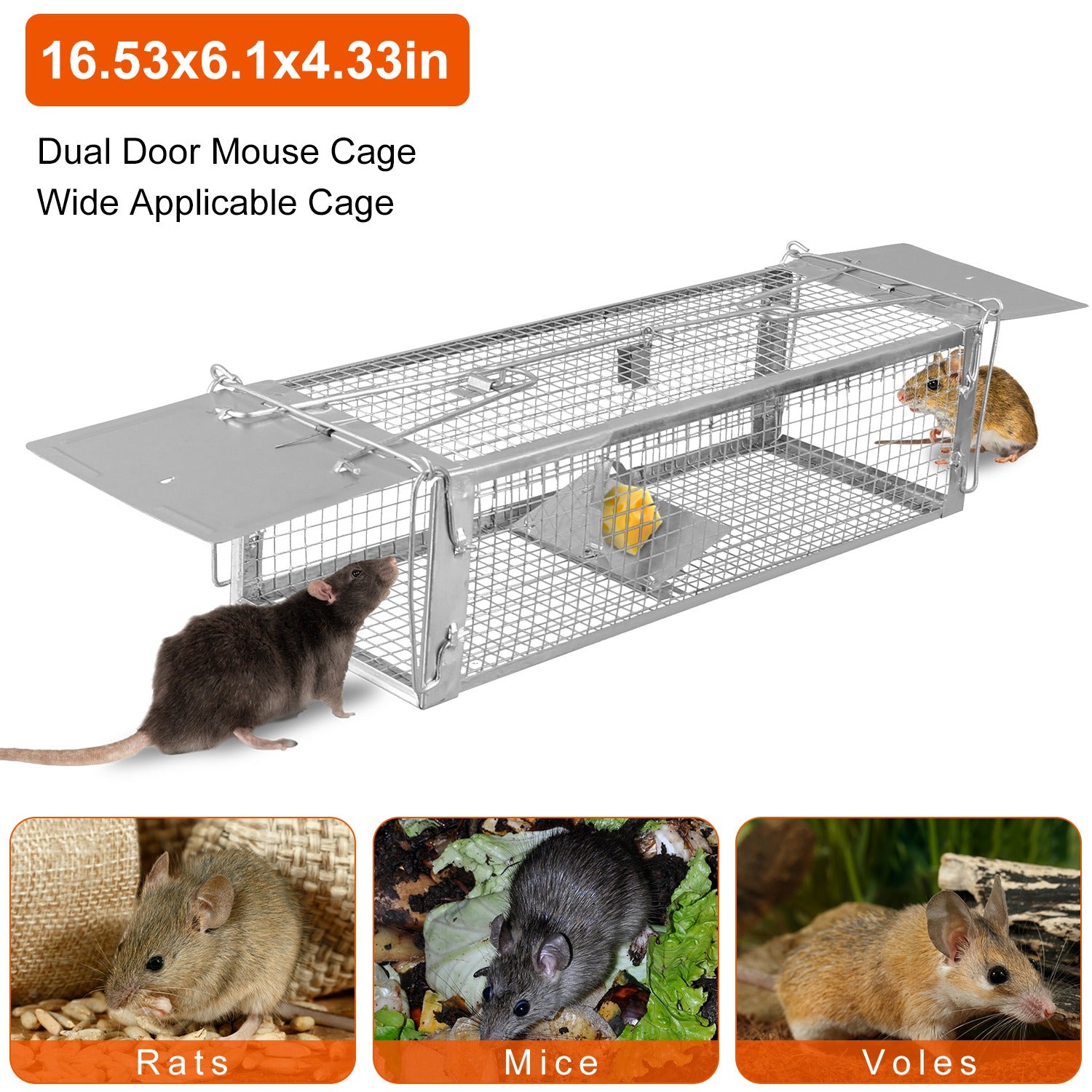 Image for product