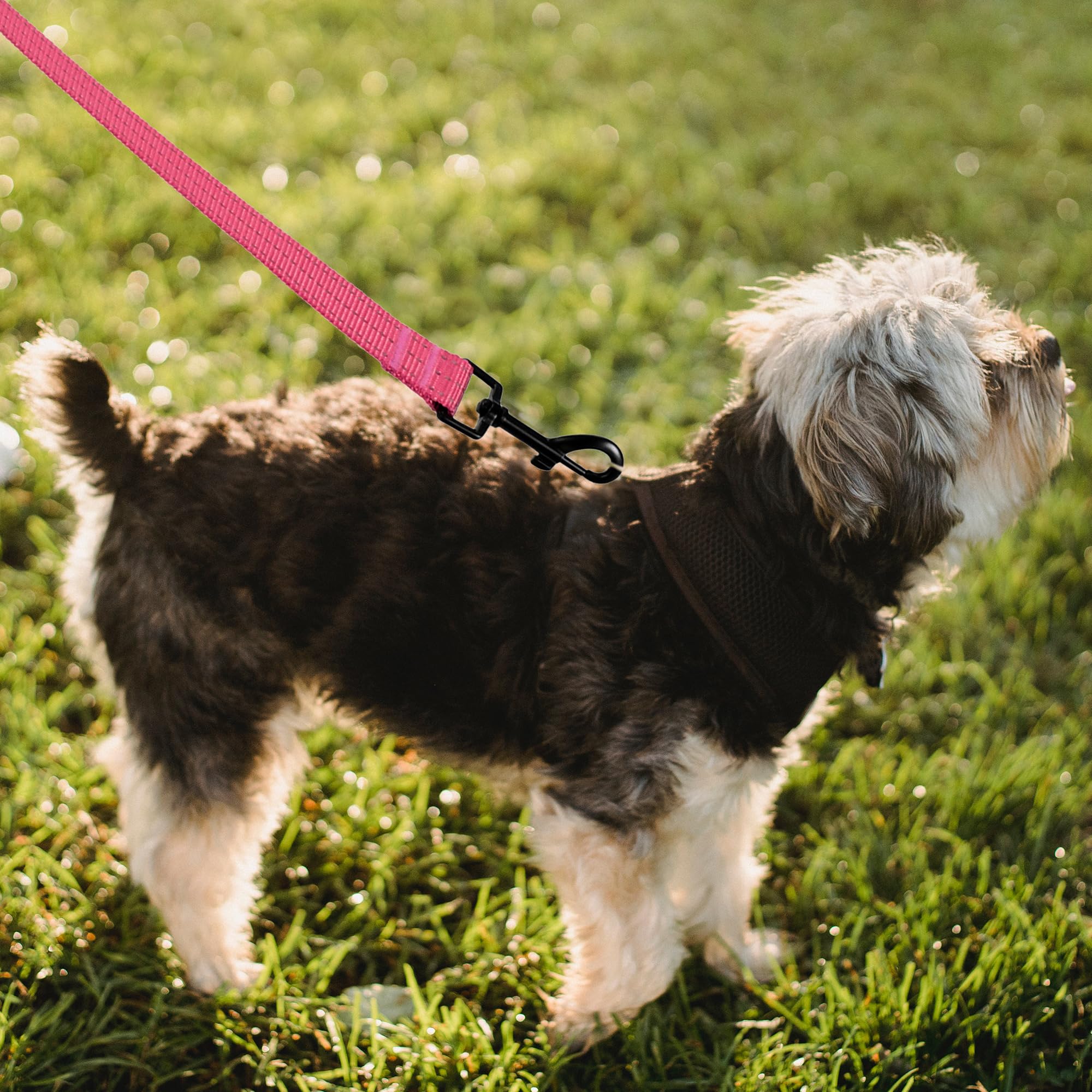 Mile High Life heavy-duty chevron weave dog leash with leather connection — view 16