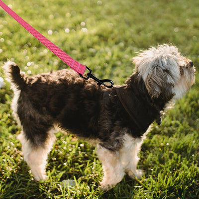 Mile High Life heavy-duty chevron weave dog leash with leather connection — view 167