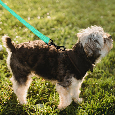 Mile High Life heavy-duty chevron weave dog leash with leather connection — view 9