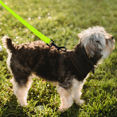 Mile High Life heavy-duty chevron weave dog leash with leather connection — view 131