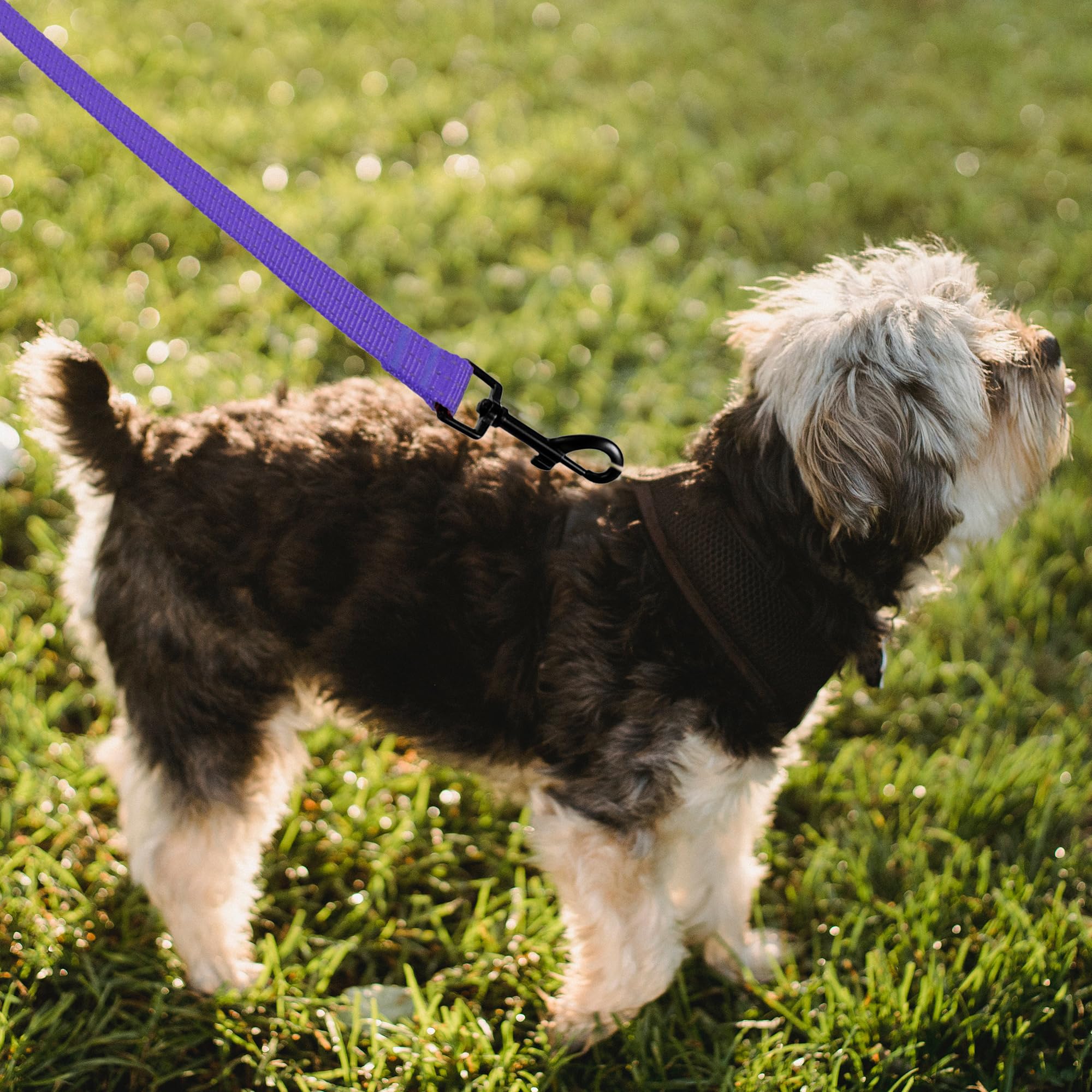 Mile High Life heavy-duty chevron weave dog leash with leather connection — view 218