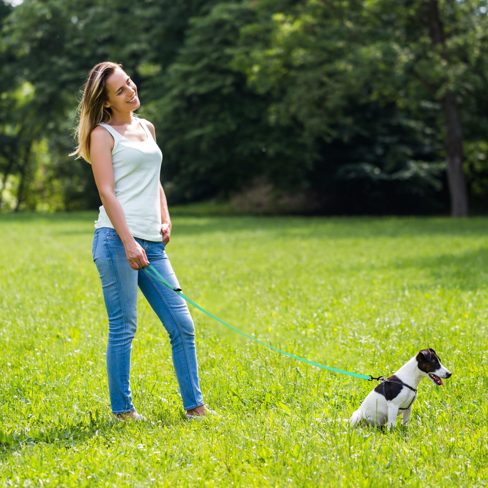Mile High Life heavy-duty chevron weave dog leash with leather connection — view 13