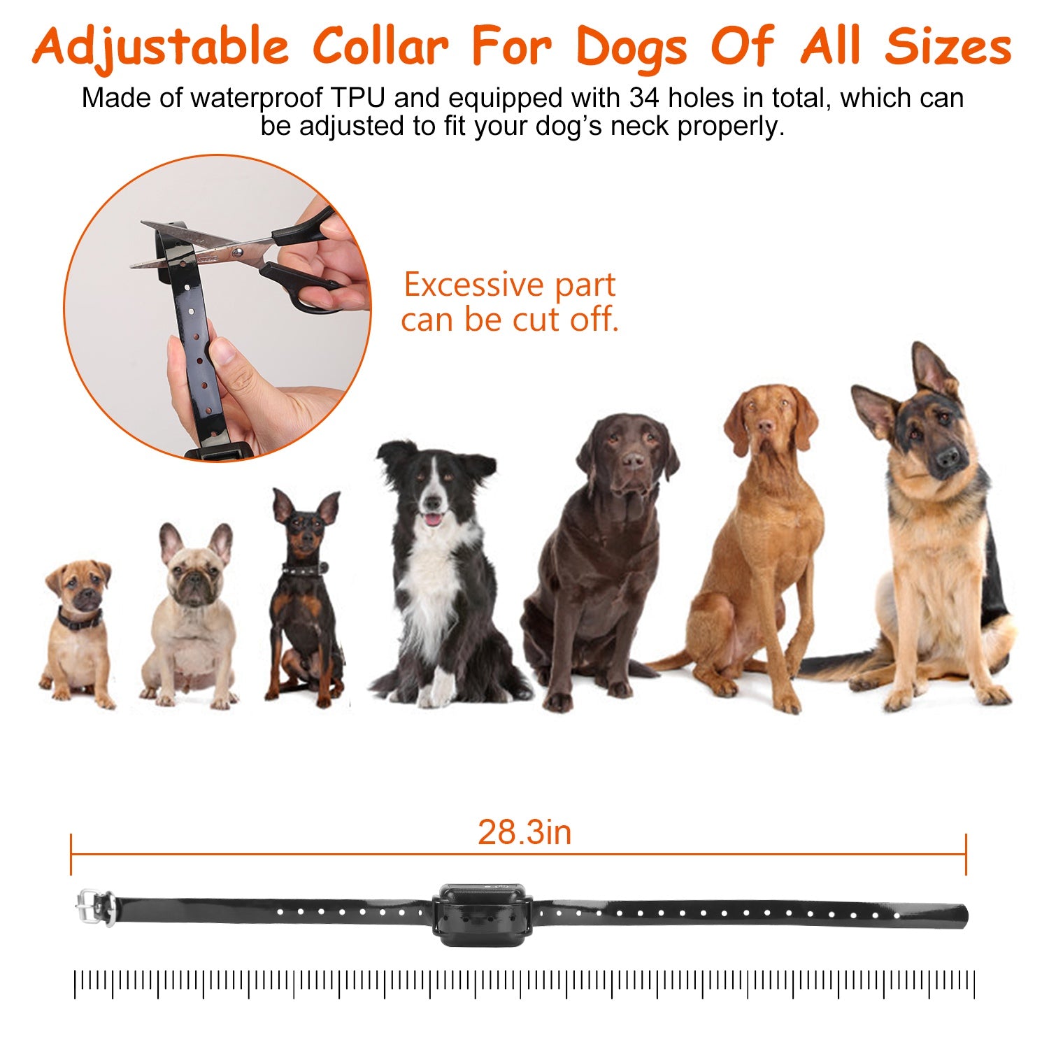 Image for product