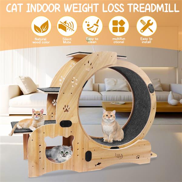 Mile High Life 6-in-1 indoor cat exercise wheel and sports device, main product photo