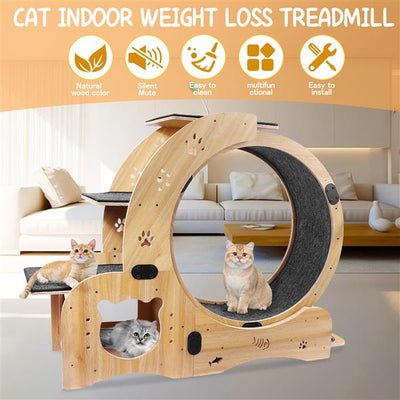 Mile High Life 6-in-1 indoor cat exercise wheel and sports device, main product photo