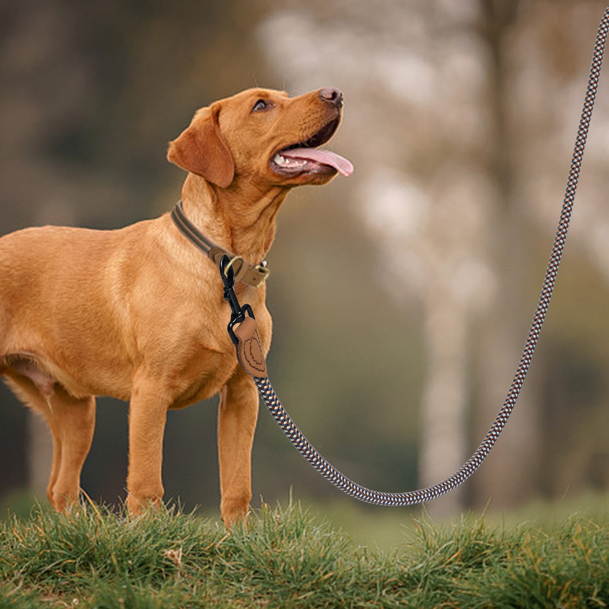 Mountain Climbing Dog Rope Leash with Metal Sturdy Clasp | Genuine Leather Tailored Connection with Strong Stitches
