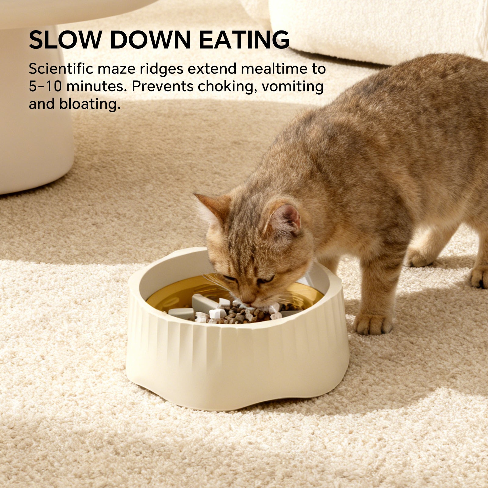 2-in-1 Slow Feeder Bowl for Cats & Small Dogs (4 Colors) – gallery 5