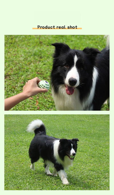 Mile High Life interactive silicone squeaky fetch ball for dogs — view 20