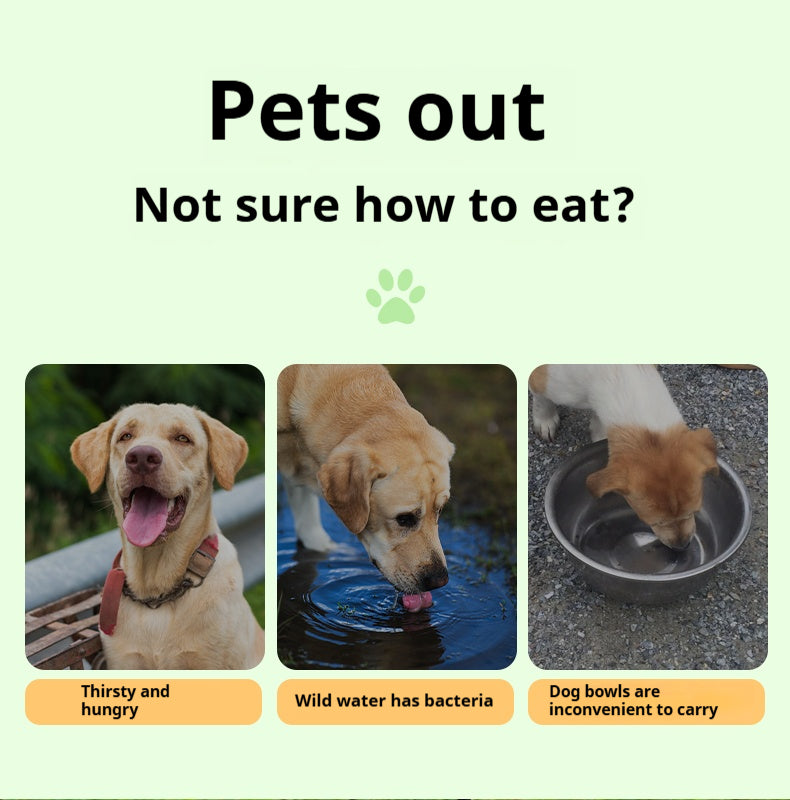 Mile High Life collapsible silicone pet travel bowl, foldable for dogs and cats — view 45