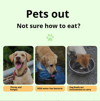 Mile High Life collapsible silicone pet travel bowl, foldable for dogs and cats — view 73