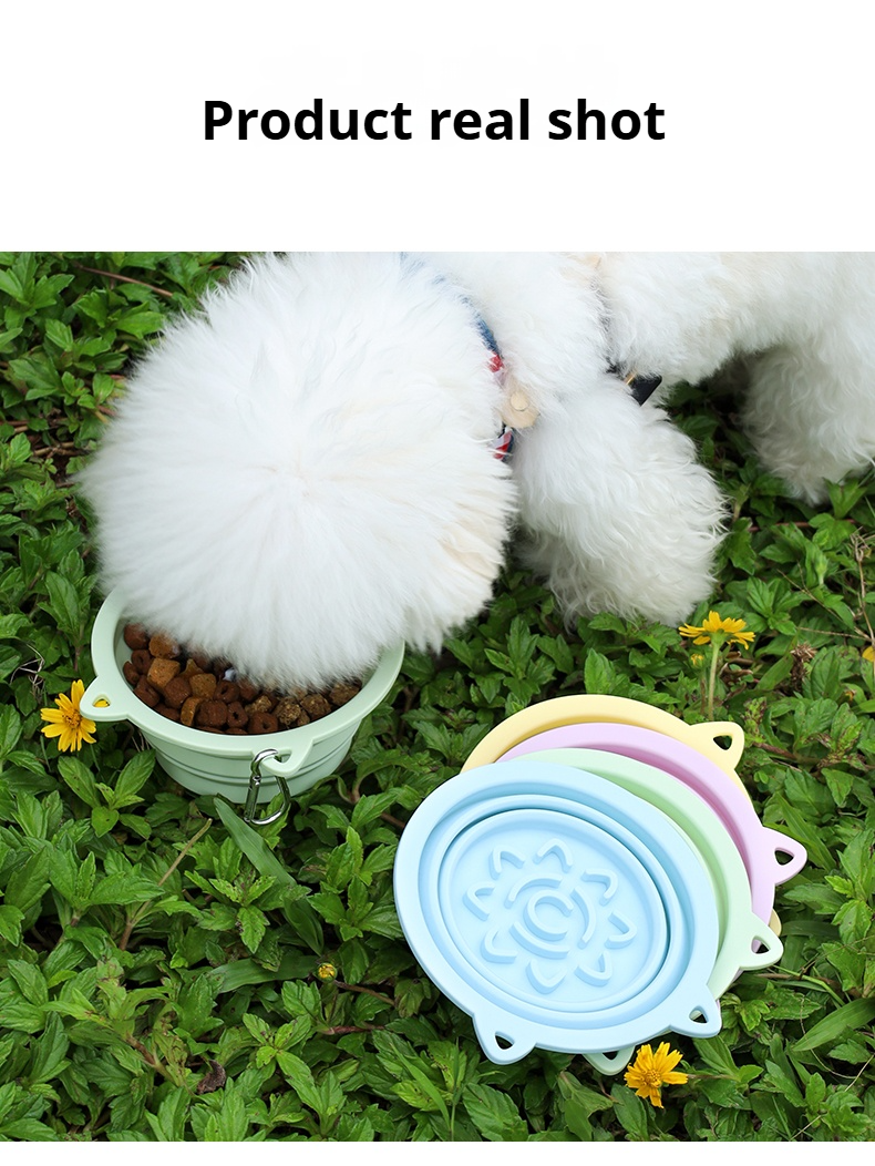Mile High Life collapsible silicone pet travel bowl, foldable for dogs and cats — view 54