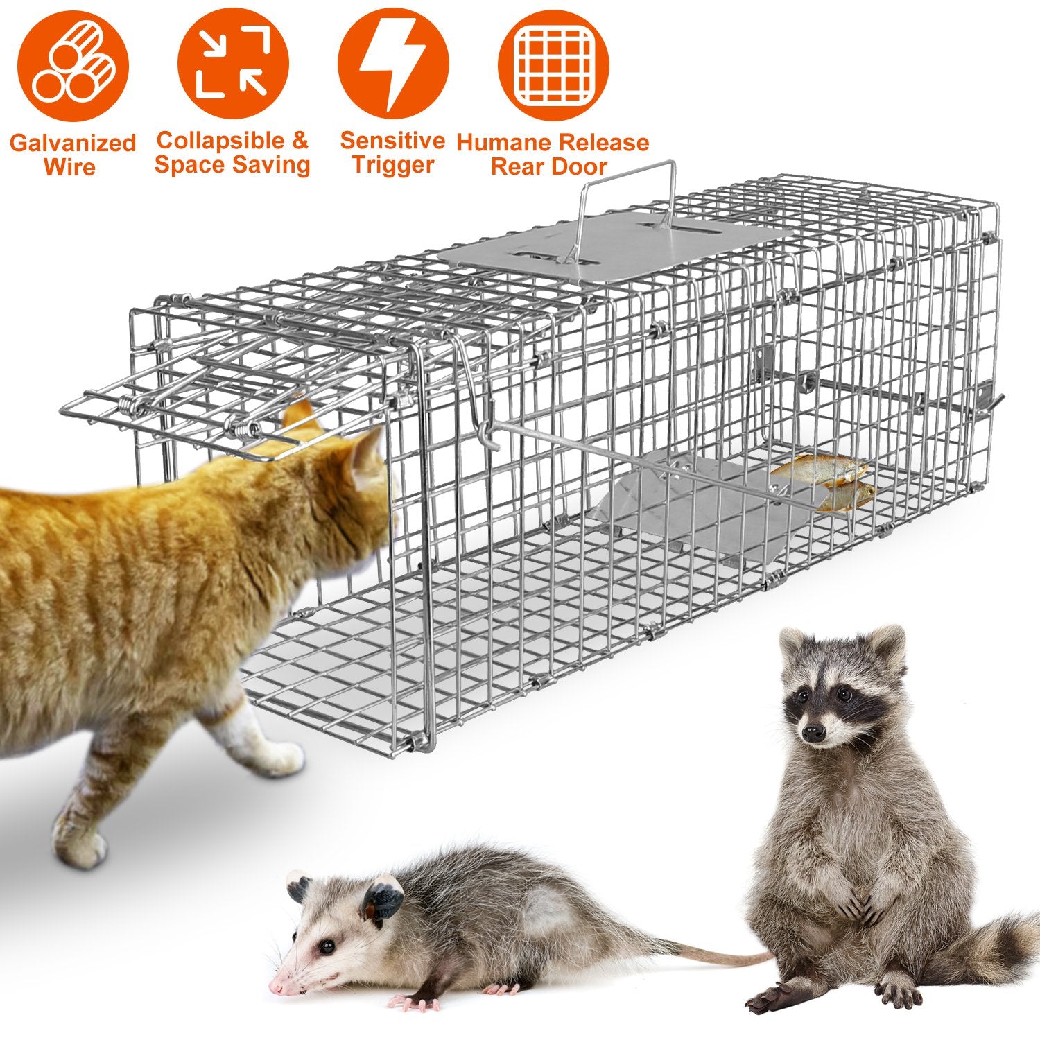 Mile High Life live animal trap cage, foldable galvanized for cats and rodents, main product photo