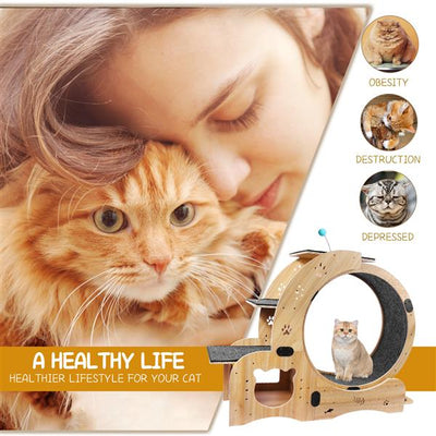Mile High Life 6-in-1 indoor cat exercise wheel and sports device — view 8
